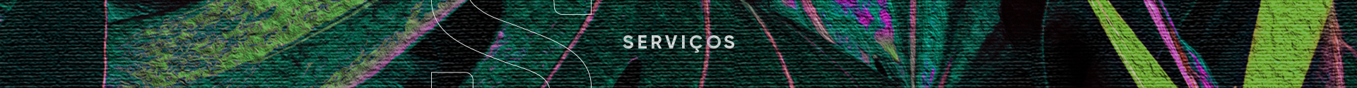 Serviços